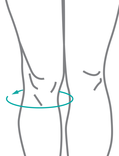 Miembro Inferior (Piernas)